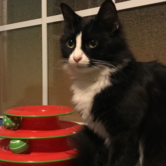 Meet your Posher, Janet - Picture 1 of 1